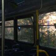 ヒメ日記 2026/04/29 13:09 投稿 いつき 奥様プリモ