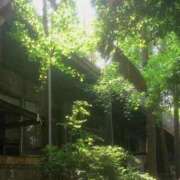 ヒメ日記 2026/05/20 13:29 投稿 いつき 奥様プリモ