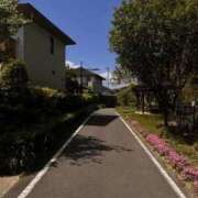 ヒメ日記 2026/06/29 12:59 投稿 いつき 奥様プリモ