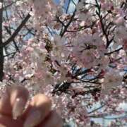 ヒメ日記 2026/03/27 15:28 投稿 香恋(かれん) 人妻城 横浜本店