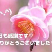 ヒメ日記 2026/03/01 23:26 投稿 なお 熟女の風俗最終章 宇都宮店