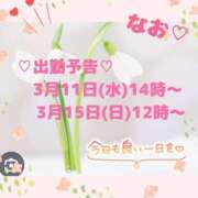 ヒメ日記 2026/03/10 10:01 投稿 なお 熟女の風俗最終章 宇都宮店