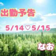 ヒメ日記 2026/05/13 09:41 投稿 なお 熟女の風俗最終章 宇都宮店