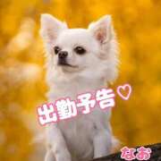 なお 出勤予告♡です🎶 熟女の風俗最終章 宇都宮店