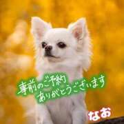 なお ご予約ありがとう～✨ 熟女の風俗最終章 宇都宮店