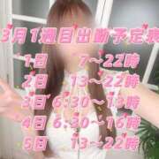 ヒメ日記 2026/02/28 19:56 投稿 みさき CECIL