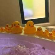 ヒメ日記 2026/02/19 09:08 投稿 柚野ねね ウルトラロイヤル