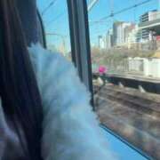 ヒメ日記 2026/02/21 15:08 投稿 柚野ねね ウルトラロイヤル