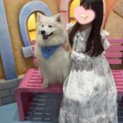 ヒメ日記 2026/03/28 13:28 投稿 柚野ねね ウルトラロイヤル