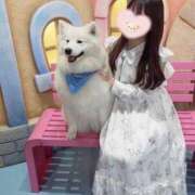 ヒメ日記 2026/05/20 15:38 投稿 柚野ねね ウルトラロイヤル