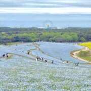 ヒメ日記 2026/05/23 16:46 投稿 柚野ねね ウルトラロイヤル