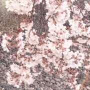 ヒメ日記 2026/03/31 10:59 投稿 さや ロイヤルヴィトン(宇都宮)