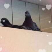 ヒメ日記 2026/04/16 19:26 投稿 あいり 熟女総本店 日本橋ミナミエリア店