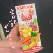 ヒメ日記 2026/02/24 11:33 投稿 はずき 大高・大府市・東海市ちゃんこ