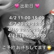 ヒメ日記 2026/03/30 21:53 投稿 はずき 大高・大府市・東海市ちゃんこ