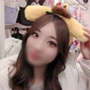 ヒメ日記 2026/02/19 19:01 投稿 うらん ビギナーズ和歌山