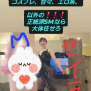 セイラ女王様 SMは解剖学、医学を学ばないと出来ないので Club-Embassy