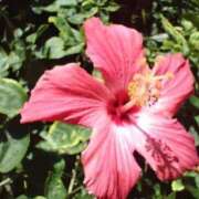 ヒメ日記 2026/04/09 09:56 投稿 憂奈魅惑のお姉さま 俺のジュニア