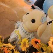 ヒメ日記 2026/04/09 17:06 投稿 憂奈魅惑のお姉さま 俺のジュニア