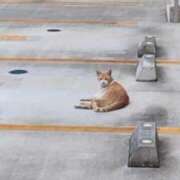 ヒメ日記 2026/04/16 03:51 投稿 憂奈魅惑のお姉さま 俺のジュニア