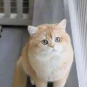 ヒメ日記 2026/04/19 14:50 投稿 憂奈魅惑のお姉さま 俺のジュニア