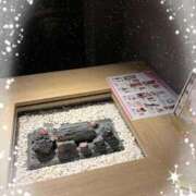 ヒメ日記 2026/02/26 15:55 投稿 しずか One More 奥様 小岩店