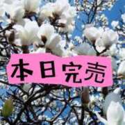 ヒメ日記 2026/02/28 04:45 投稿 しずか One More 奥様 小岩店