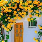 ヒメ日記 2026/02/28 11:35 投稿 しずか One More 奥様 小岩店