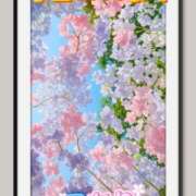 ヒメ日記 2026/03/10 19:35 投稿 しずか One More 奥様 小岩店