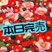 ヒメ日記 2026/03/11 04:15 投稿 しずか One More 奥様 小岩店