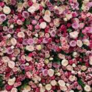 ヒメ日記 2026/03/28 05:05 投稿 しずか One More 奥様 小岩店