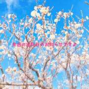 ヒメ日記 2026/02/21 18:31 投稿 すみれ 横浜人妻ヒットパレード（シンデレラグループ）