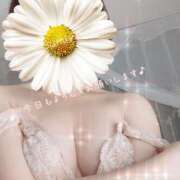 ヒメ日記 2026/03/14 12:33 投稿 すみれ 横浜人妻ヒットパレード（シンデレラグループ）