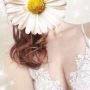 ヒメ日記 2026/03/18 12:32 投稿 すみれ 横浜人妻ヒットパレード（シンデレラグループ）