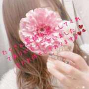 ヒメ日記 2026/03/18 23:46 投稿 すみれ 横浜人妻ヒットパレード（シンデレラグループ）