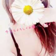 すみれ 向かってます♪ 横浜人妻ヒットパレード（シンデレラグループ）