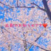 すみれ 今週の出勤のお知らせです♪ 横浜人妻ヒットパレード（シンデレラグループ）