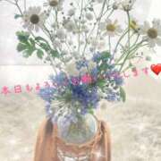 ヒメ日記 2026/04/09 13:31 投稿 すみれ 横浜人妻ヒットパレード（シンデレラグループ）