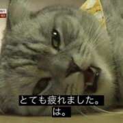 ヒメ日記 2026/03/04 23:11 投稿 のどか 完全密室 無抵抗