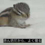 ヒメ日記 2026/03/08 12:01 投稿 のどか 完全密室 無抵抗