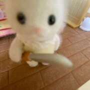 ヒメ日記 2026/03/11 18:01 投稿 のどか 完全密室 無抵抗