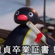 のどか ご予約入らない日は休みだよー 完全密室 無抵抗