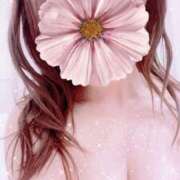 高梨すみれ 記念すべきお一人目? 大人めシンデレラ 新横浜店（シンデレラグループ）