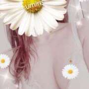 ヒメ日記 2026/03/15 12:46 投稿 高梨すみれ 大人めシンデレラ 新横浜店（シンデレラグループ）