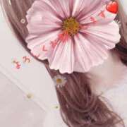 ヒメ日記 2026/03/26 13:02 投稿 高梨すみれ 大人めシンデレラ 新横浜店（シンデレラグループ）