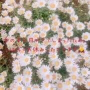 高梨すみれ 出勤について 大人めシンデレラ 新横浜店（シンデレラグループ）