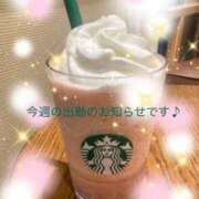 高梨すみれ 出勤のお知らせです♪ 大人めシンデレラ 新横浜店（シンデレラグループ）