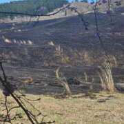 ヒメ日記 2026/04/08 20:33 投稿 涼子(りょうこ) 相模原人妻城