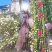 ヒメ日記 2026/04/17 13:48 投稿 涼子(りょうこ) 相模原人妻城