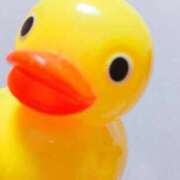 ヒメ日記 2026/04/07 18:29 投稿 かこ オナクラ大人女子